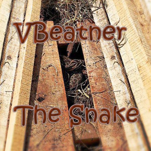 The Snake - VBeatner